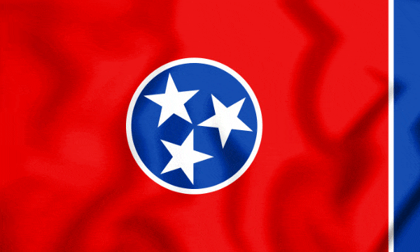 Flag of TN