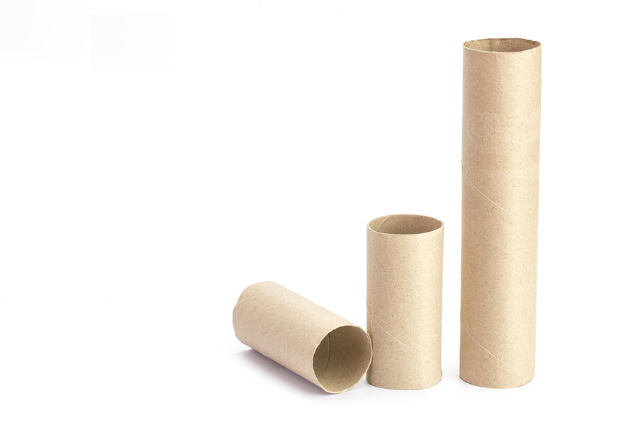 toilet paper roll STEM activity