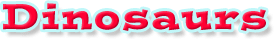 Instant Expert Title
