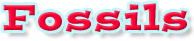 Instant Expert Title