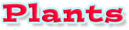 Instant Expert Title
