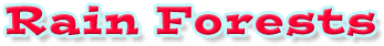 Instant Expert Title