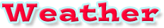Instant Expert Title