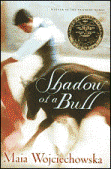 Shadow of a Bull