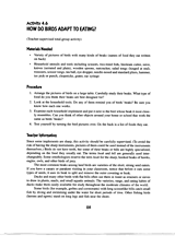 Adaptations: Bird Beaks Mini-Lesson | Life Science Slideshow