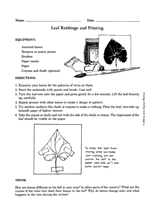 Leaf Rubbings and Printing Printable (1st - 6th Grade) - TeacherVision.com