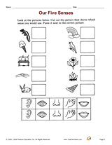 Printable Senses cut TeacherVision.com   and worksheets senses Five five paste Grade)   1st (K Our