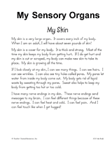 grade five TeacherVision.com  Printable for  senses Grade) Organs  5th  fourth  (2nd Sensory My worksheets