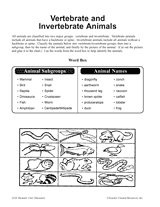 Students animals  of invertebrates  a animal (animals classify grade as 3rd classification worksheet  selection