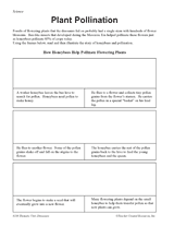 Plant Pollination Printable (3rd - 5th Grade) - TeacherVision.com