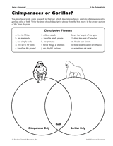 Chimpanzees or Gorillas? Graphic Organizer (4th - 8th Grade