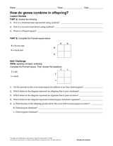 How Do Genes Combine in Offspring? Printable (6th - 12th ...