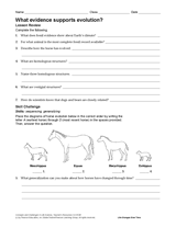 biochemical evidence for evolution lab 12 answers