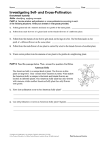 polllination color hunt worksheet