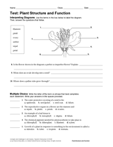 Plant Structure & Function - Life Science Printable Test (6th-12th