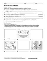 What Is Succession? Science Printable (Grades 6-12) - TeacherVision.com