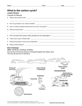 What Is the Carbon Cycle? Science Printable (6th-12th Grade