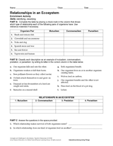 Activity: Relationships in an Ecosystem - Science Printable (6th-12th