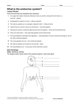 What Is the Endocrine System? Human Body Printable (6th-12th Grade