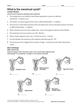 What Is the Menstrual Cycle? Human Body Printable (6th-12th Grade