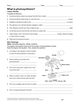 What Is Photosynthesis? Printable (6th - 12th Grade) - TeacherVision.com