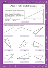 Area of Right-Angled Triangles - Math Practice Worksheet (Grade 5