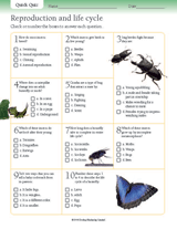 Quick Quizzes: Insect Reproduction and Life Cycle - Printable Quiz (Gr