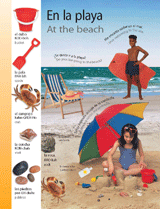 Themed Vocabulary: At the beach (En la playa) - Spanish Vocabulary