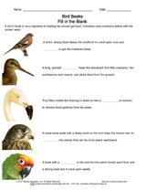 Adaptations: Bird Beaks Fill in the Blank & Vocab Flashcards Printable