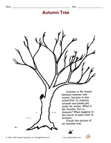 Autumn Tree Printable (K - 1st Grade) - TeacherVision.com