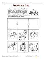 predator vs prey teeth for kids