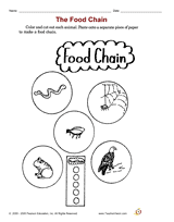 The Food Chain -- Cut and Paste Printable (2nd Grade) - TeacherVision.com