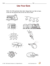 free for kindergarten groundhog worksheets 1st TeacherVision.com   (K Grade)  Printable Use Ears  Your