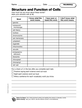 Structure and Function of Cells: Vocabulary Printable (6th Grade