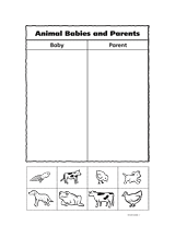 worksheets provided animal needs   animal  of Students and their babies pictures the paste