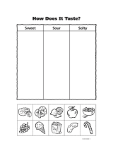 How Does It Taste? Graphic Organizer (K) - TeacherVision.com