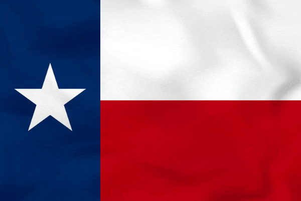 Flag of TX