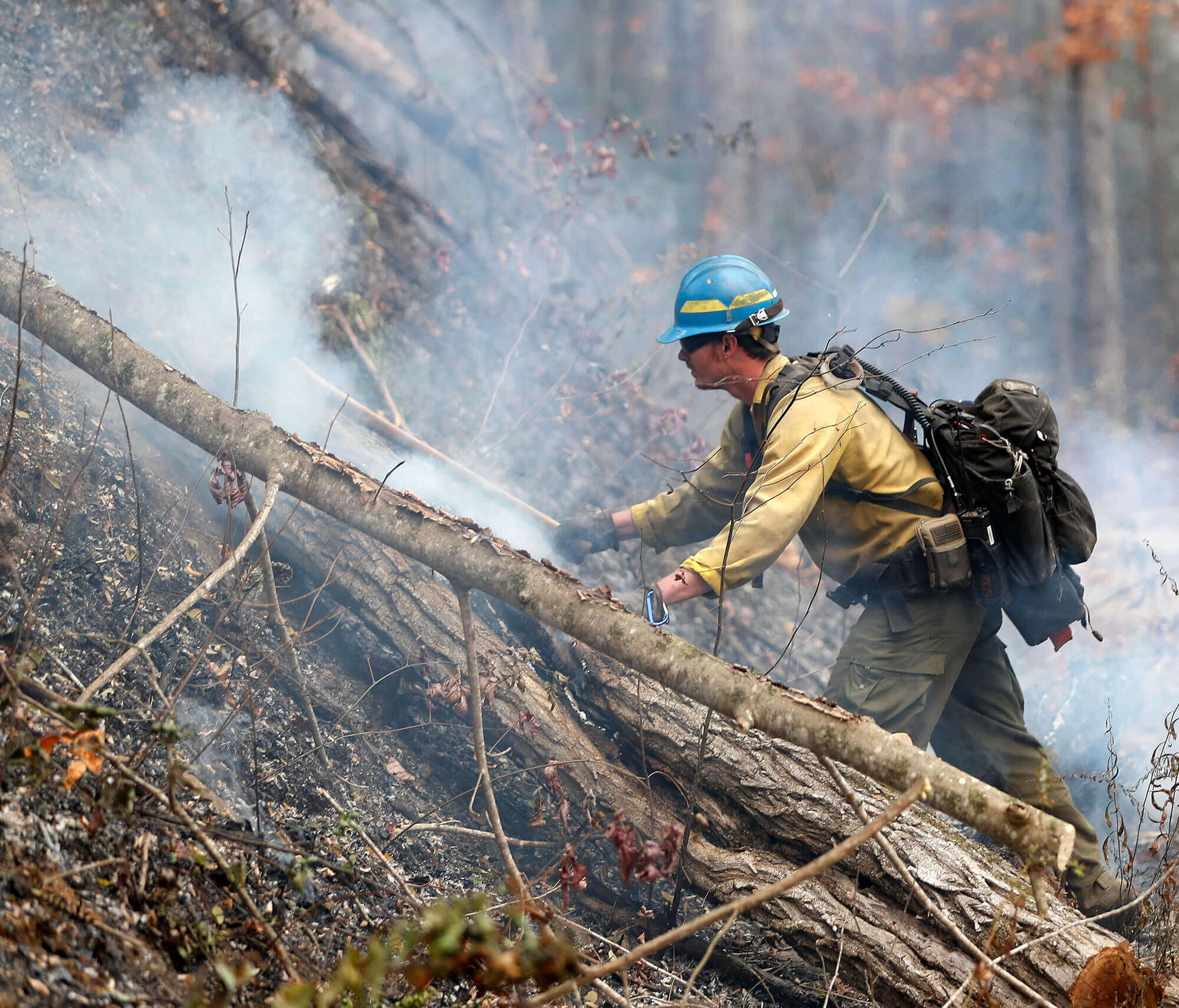 Image of smoky trees and firefighter